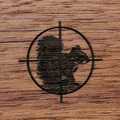 Gunstock Engraving Squirrel