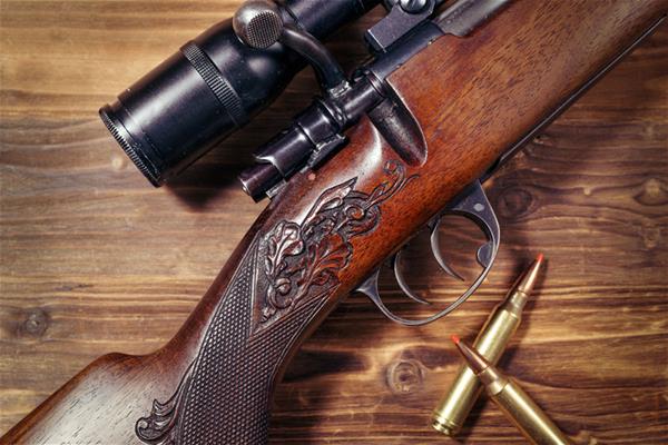 Top 5 Deer Hunting Rifles Under $500 | Boyds Hardwood Gunstocks